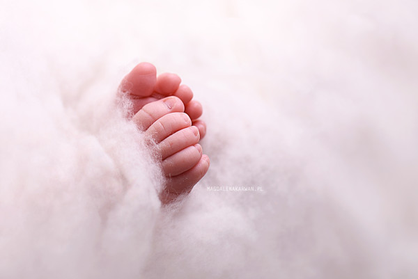 fotografia noworodkowa śląsk